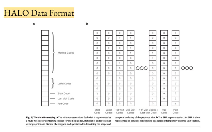 HALO, short for Hierarchical Autoregressive Language Model.