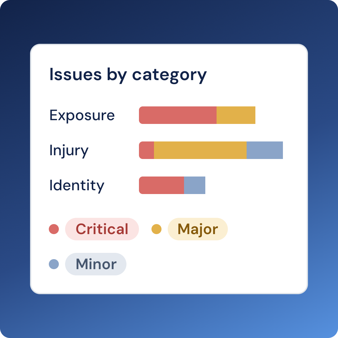 pattern-05-issues-by-category